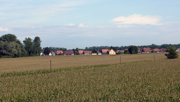 Dahl-10916