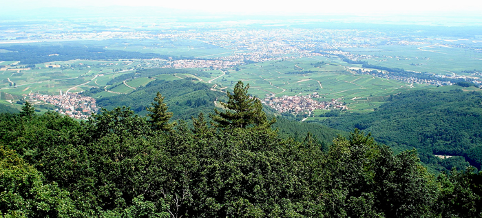 12-Katzenthal_Galtz