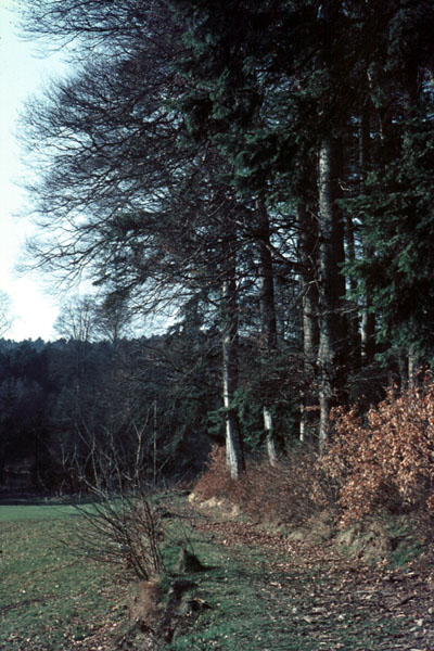 F-Alsace-Hohwald10-70