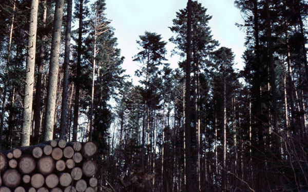 F-Alsace-Hohwald18-70