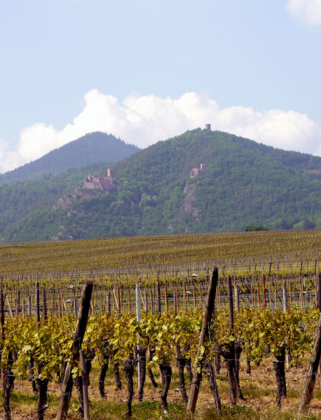 1ribeau-chateaux