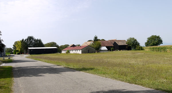 Rust-010486