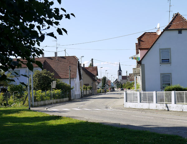 Sess-10810