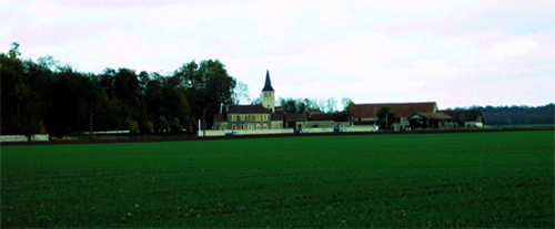 17-Thorey_4