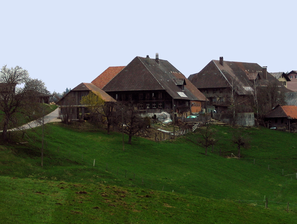 oberi steg_8807