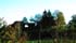 schurchtanne_8459