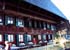 schurchtanne_8464