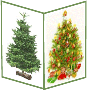 Weihnachtsbaum
